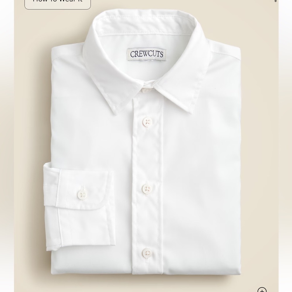 j crew Boys' Ludlow Premium fine cotton dress shirt